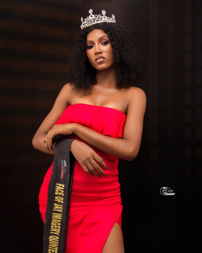 Face of Jay Imagery 2024 Quintessence winner